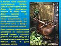 В Японии часто случаются землетрясения, поэтому здесь издавна строят