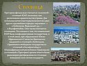 Столица