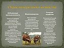 Отрасли народного хозяйства