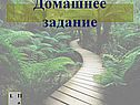 Домашнее задание