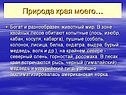Природа края