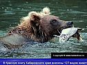 127 видов животных