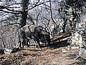 Хабаровский край России