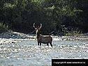 Хабаровский край России