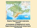 Берега Черного моря