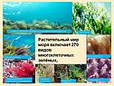 Характеристика Чёрного моря