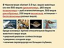 Широкий диапазон солёности воды