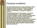 Сельское хозяйство