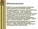 Животноводство