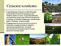 Сельское хозяйство