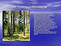 Лесная промышленность