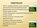 Содержание