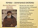 Почвы – зональные системы