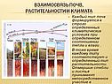 Взаимосвязь почв, растительности и климата