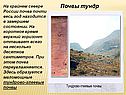 Почвы тундр