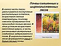 Почвы смешенных и широколиственных лесов