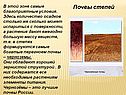 Почвы степей