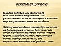 Рекультивация почв