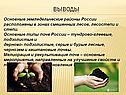 Выводы