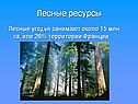 Лесные ресурсы