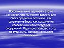 Восстановление церквей