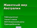Животный мир Австралии