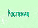 Растения