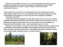 Территорию страны омывают три океана, 2/3 её лежат в субарктическом и