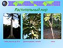 Карта природных зон Южной Америки