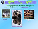 Полупустыни Южной Америки