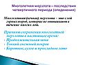 Многолетняя (вечная) мерзлота