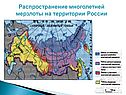 Распространение многолетней мерзлоты