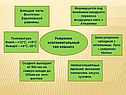 Умеренно континентальный тип климата