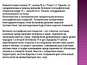 Новая история