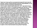 Вклад в развитие мореплавания
