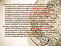 Флора прохладной Тасмании