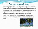 Растительный мир