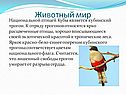 Животный мир