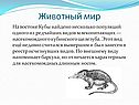 Животный мир
