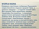 Флора и фауна