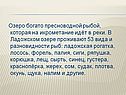 Озеро богато пресноводной рыбой, которая на икрометание идёт в реки