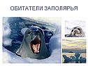 Обитатели заполярья