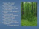 В. Рождественский