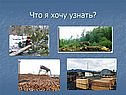 Лесная промышленность РФ