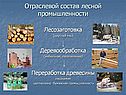 Отраслевой состав лесной промышленности