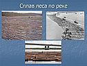 Сплав леса по реке