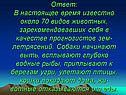 Собаки начинают выть