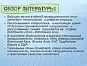 Обзор литературы