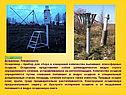 Осадкомер