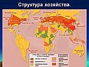 Структура хозяйства